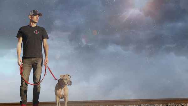 Dog Impossible Poster 4