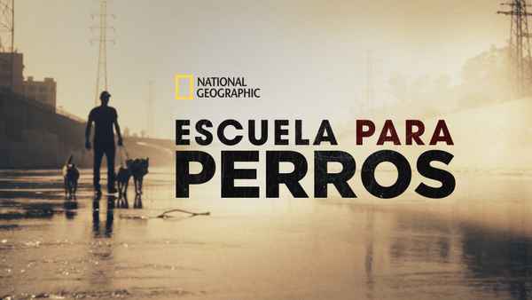 Dog Impossible Poster 1