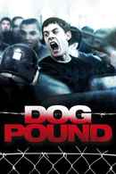 Dog Pound Poster 7