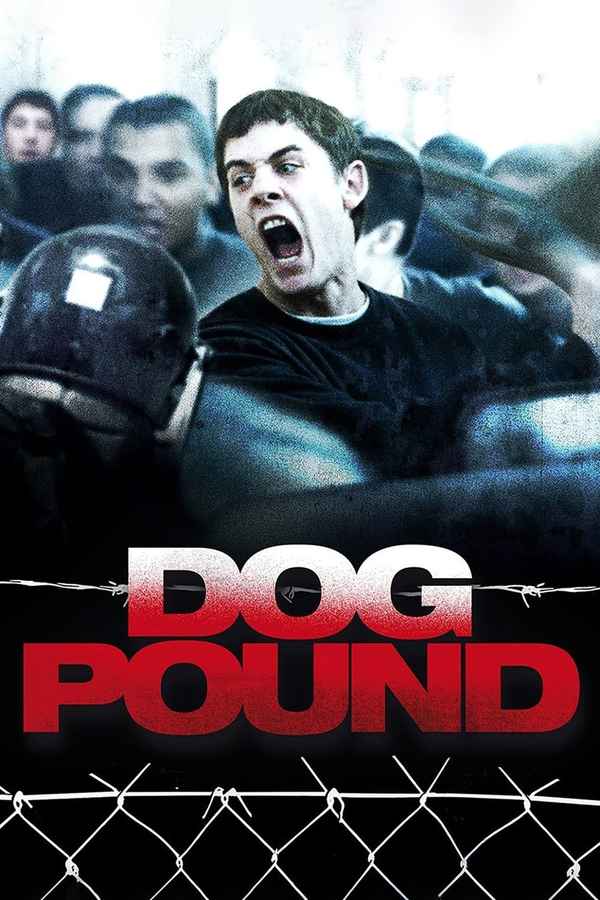 Dog Pound Poster 7