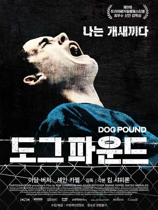 Dog Pound Poster 6