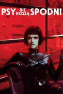 Dogs Don’t Wear Pants Poster 7