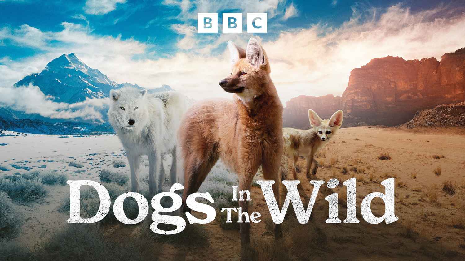 Dogs in the Wild, A Nature Miniseries