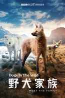 Dogs in the Wild: Meet the Family Poster 5
