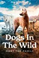 Dogs in the Wild: Meet the Family Poster 7