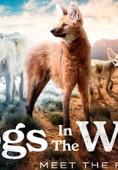 Dogs in the Wild: Meet the Family