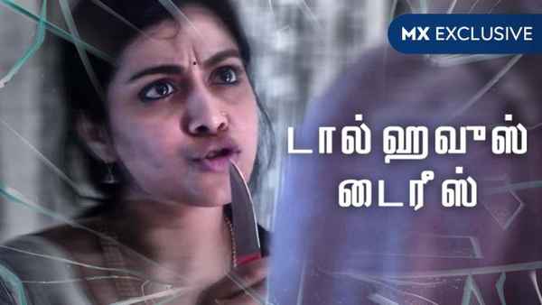 Dollhouse Diaries Poster 1