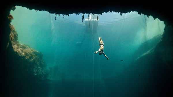 Dolphin Man Poster 2