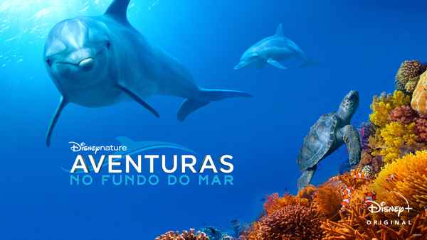 Dolphin Reef Poster 1