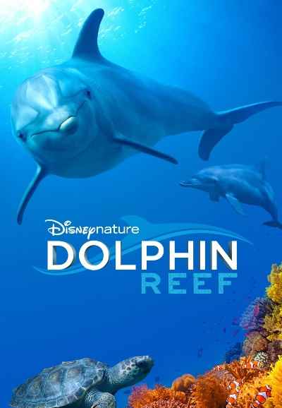 Dolphin Reef