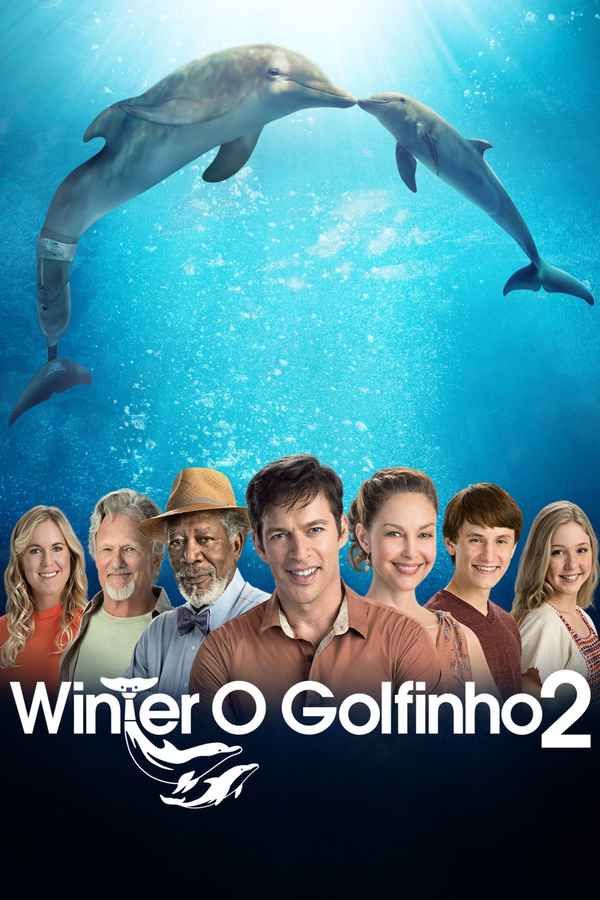 Dolphin Tale 2 Poster 6