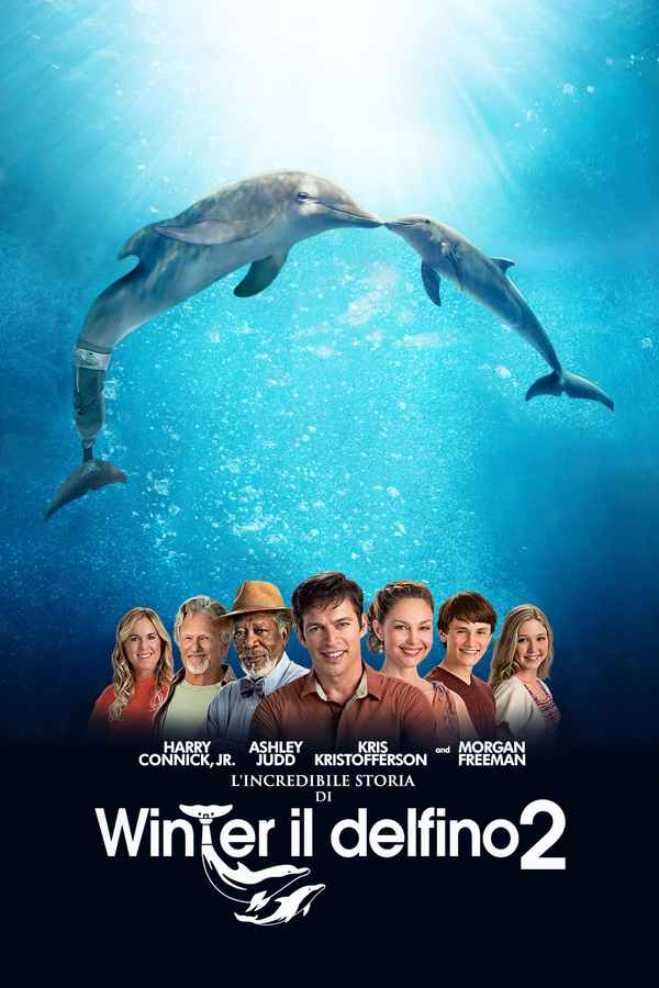 Dolphin Tale 2 Poster 7