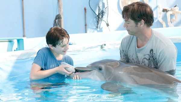 Dolphin Tale Poster 7