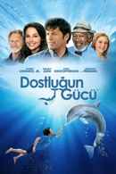 Dolphin Tale Poster 4