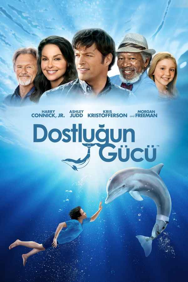 Dolphin Tale Poster 4