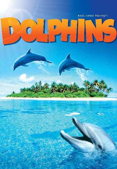 Dolphins