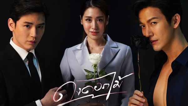 Dong Dok Mai | ดงดอกไม้ Poster 4