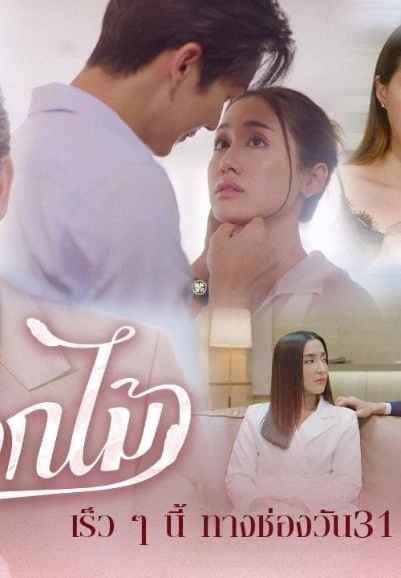 Dong Dok Mai | ดงดอกไม้