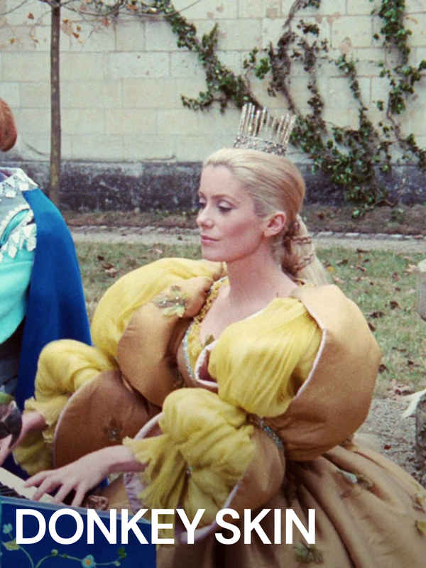 Donkey Skin Poster 1