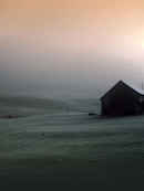 Doomsday: The Missing Children Poster 5