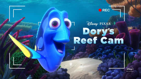 Dory's Reef Cam Poster 7