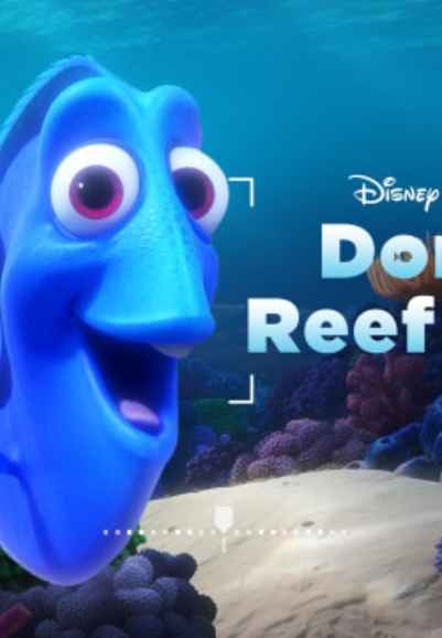 Dory's Reef Cam