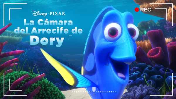 Dory's Reef Cam Poster 4