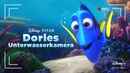 Dory's Reef Cam Poster 5
