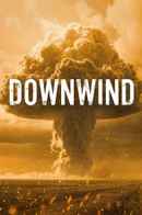 Downwind Poster 3