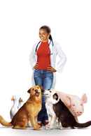 Dr. Dolittle 3 Poster 5