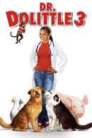 Dr. Dolittle 3 Poster 6