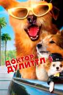 Dr. Dolittle: Million Dollar Mutts Poster 5