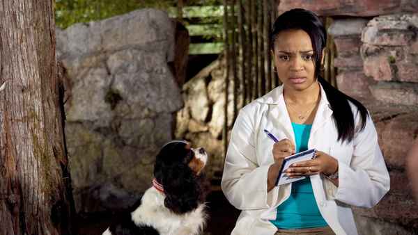 Dr. Dolittle: Tail to The Chief Poster 2