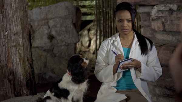 Dr. Dolittle: Tail to The Chief Poster 4