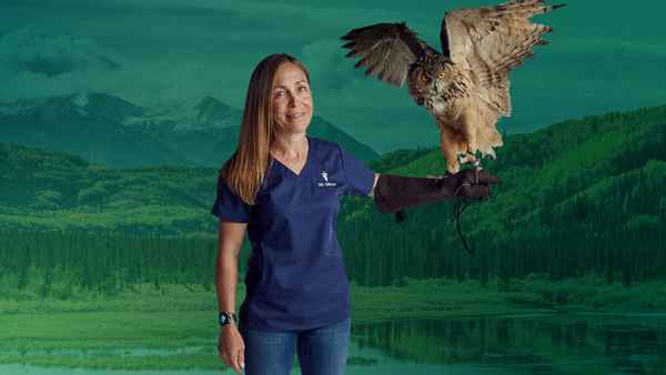 Dr. Oakley, Yukon Vet Poster 2