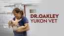 Dr. Oakley, Yukon Vet Poster 5