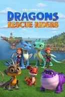 Dragons: Rescue Riders Poster 5
