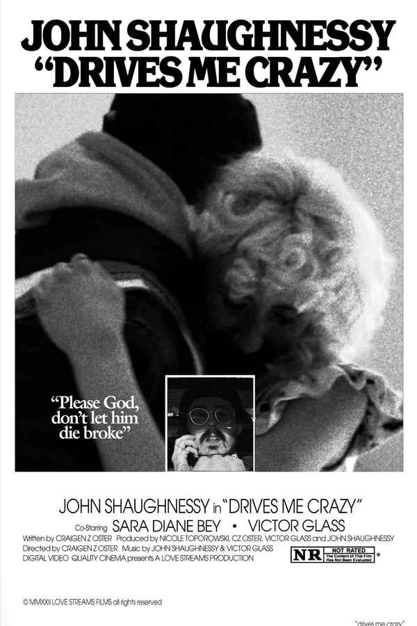 Drives Me Crazy Poster 2