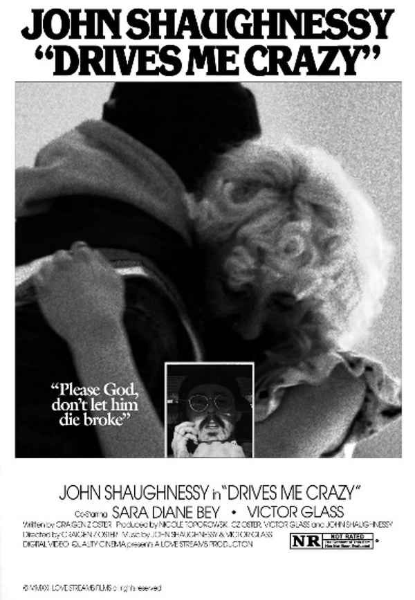 Drives Me Crazy Poster 3