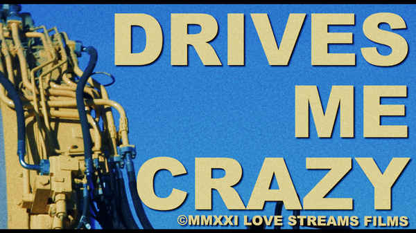 Drives Me Crazy Poster 1