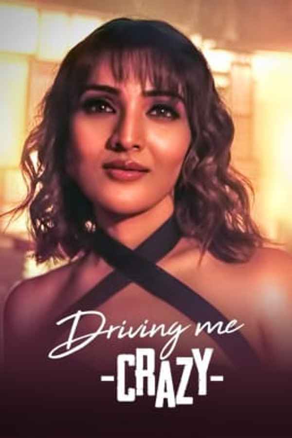 Driving Me Crazy Poster 2
