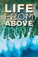 Earth from Space Poster 7