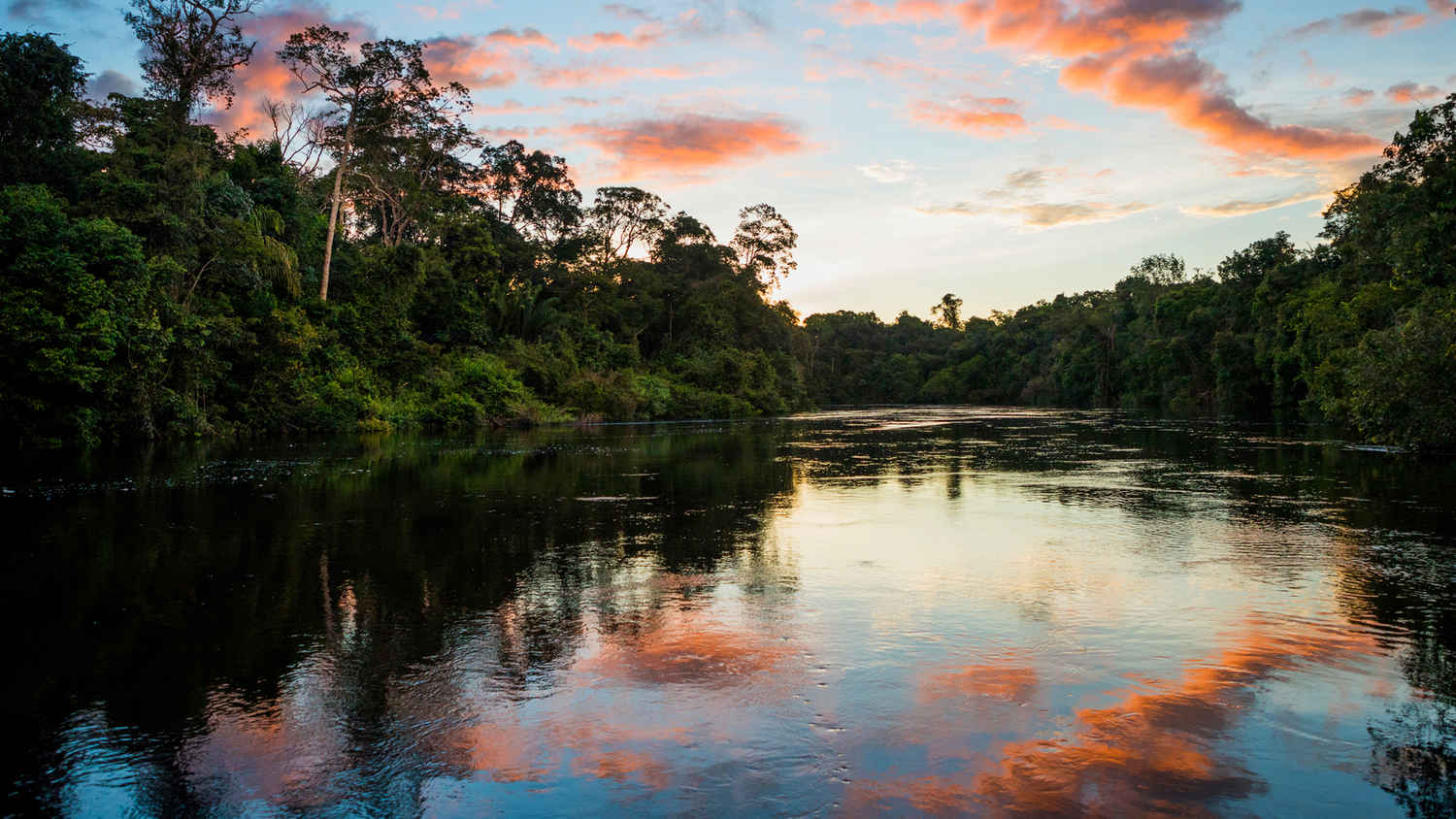 Earth's Great Rivers