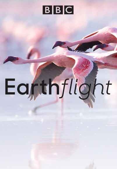 Earthflight