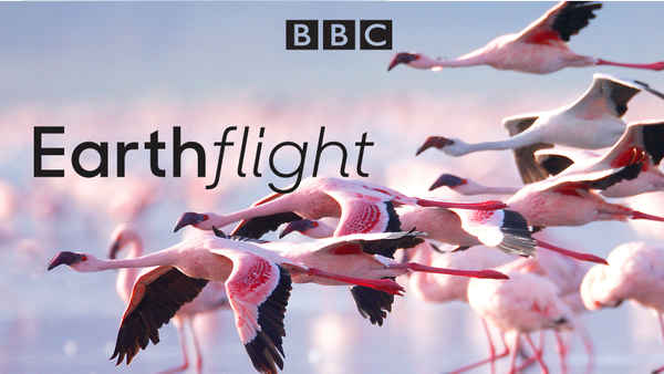 Earthflight Poster 3