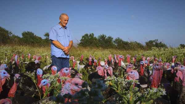 Eating Animals Poster 1