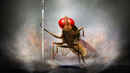 Eega Poster 4