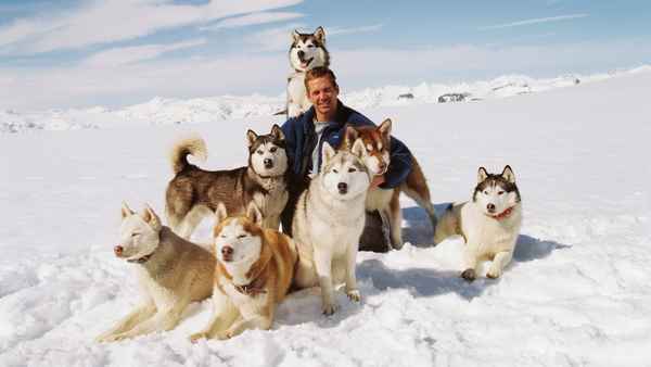 Eight Below Poster 4