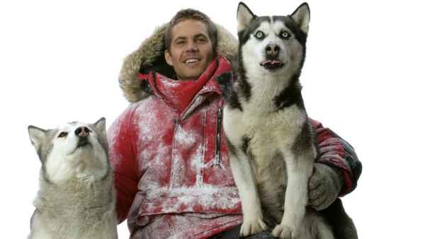 Eight Below Poster 5