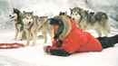 Eight Below Poster 6